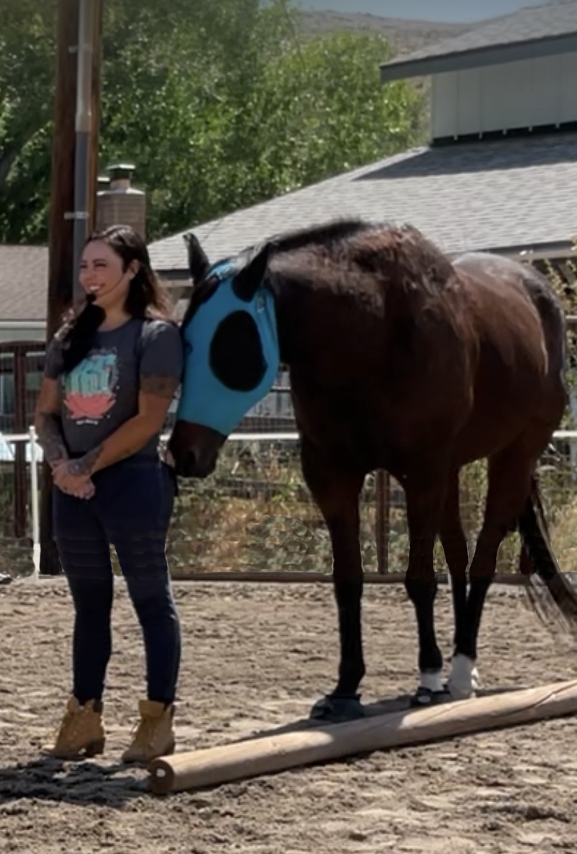 Avalon, the horse, and client
